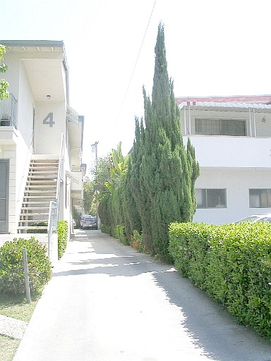 Driveway looking East